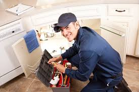 Best Commercial Plumbing Services  in Cambridge, WI